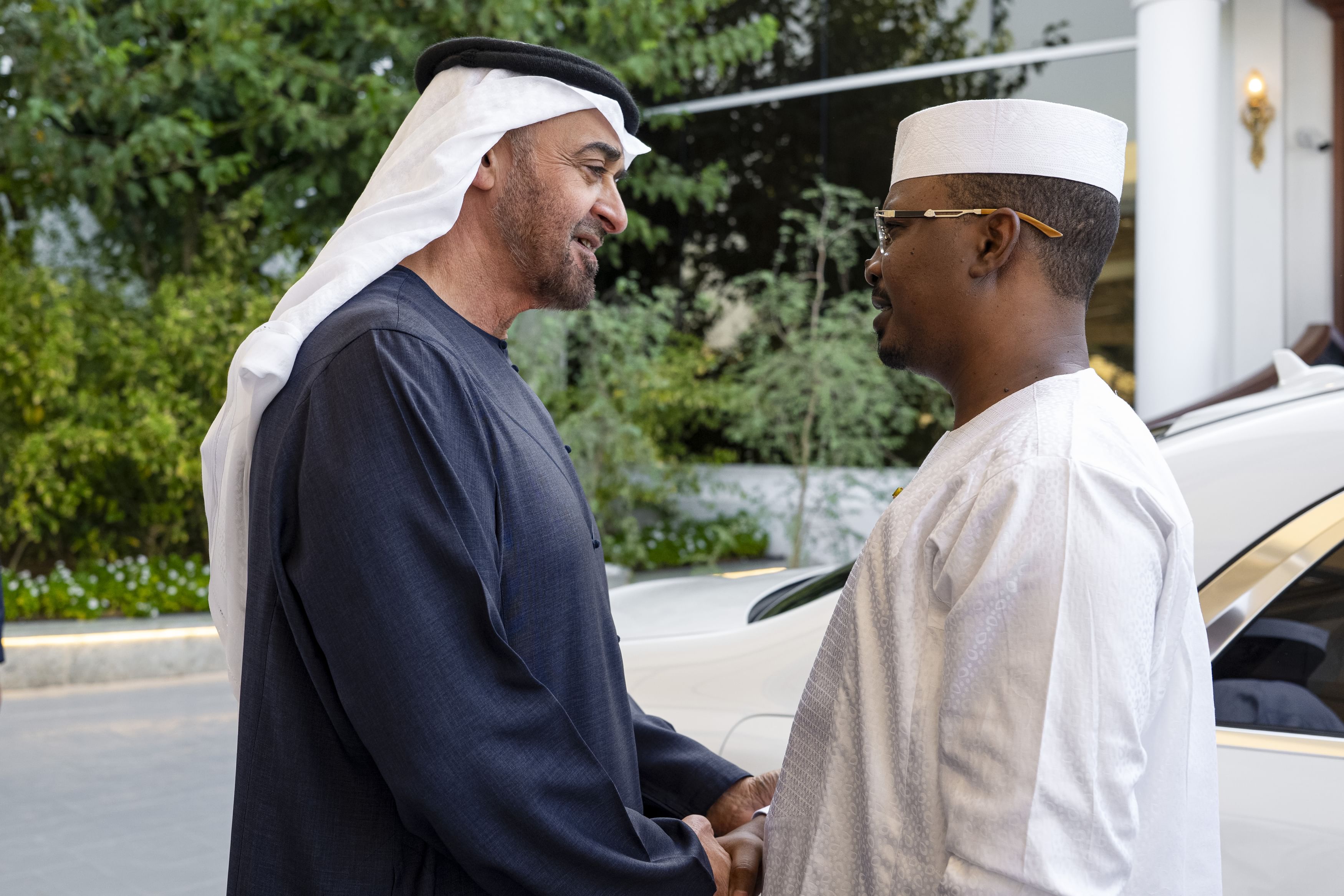 UAE and Chad Presidents discuss strengthening cooperation