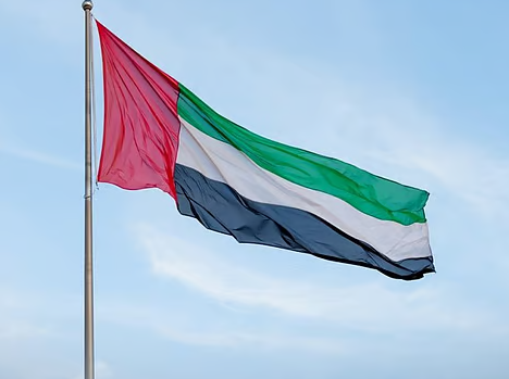 UAE security services thwart attempt to illegally transfer weapons, military equipment to Sudanese Armed Forces