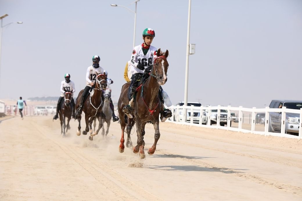 Zayed bin Mansour bin Zayed Endurance Cup to begin tomorrow in Al Wathba