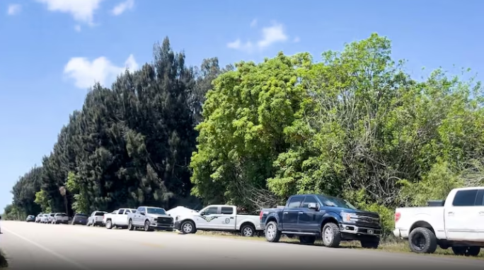 89-year-old man and dog killed in bear attacks in Florida