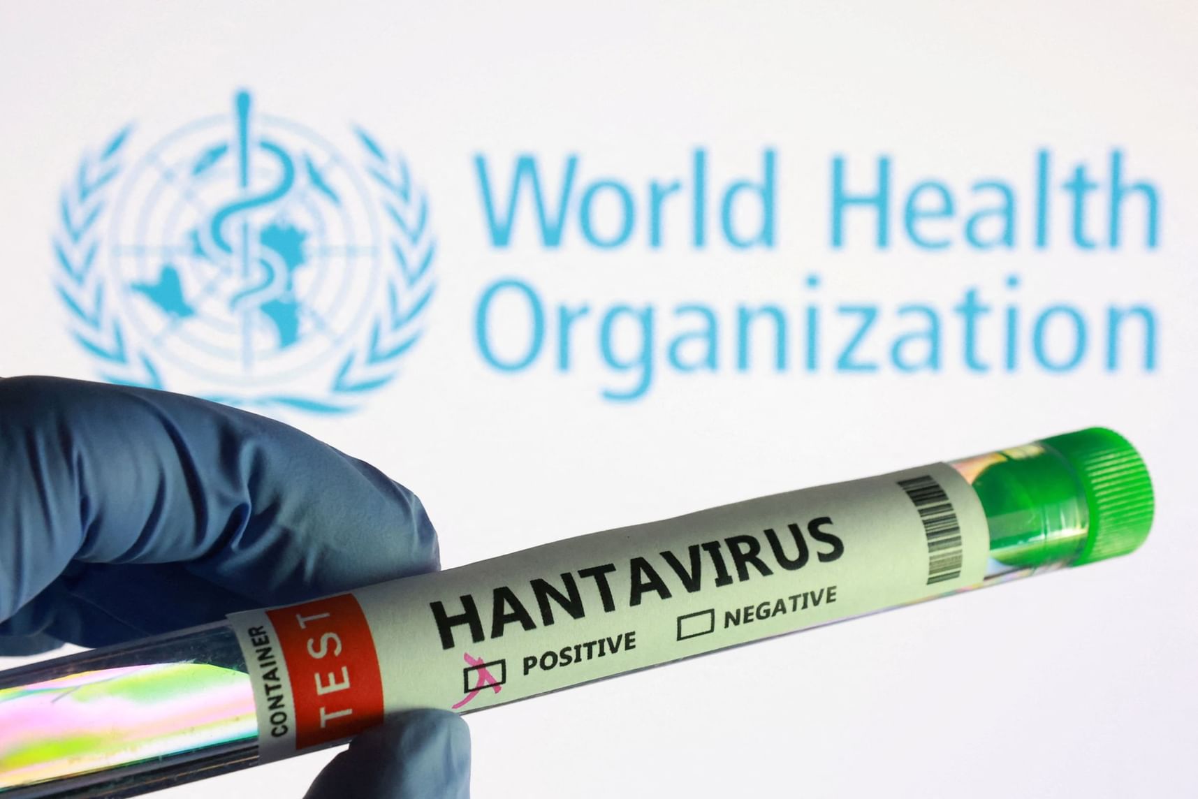 WHO confirms human transmission of Andes Hantavirus strain on cruise ship