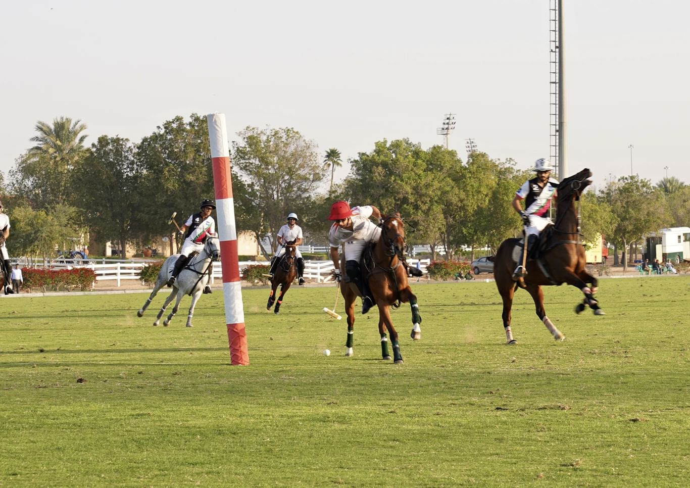 Pink Polo charity sports festival to be held on November 9