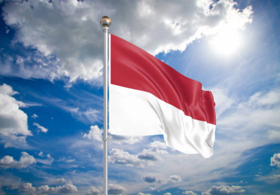 Indonesia launches US$15 bn gas project to boost energy security