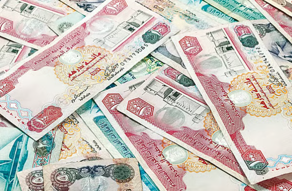 Remittances from UAE to Pakistan will remain steady amid global uncertainty: Official