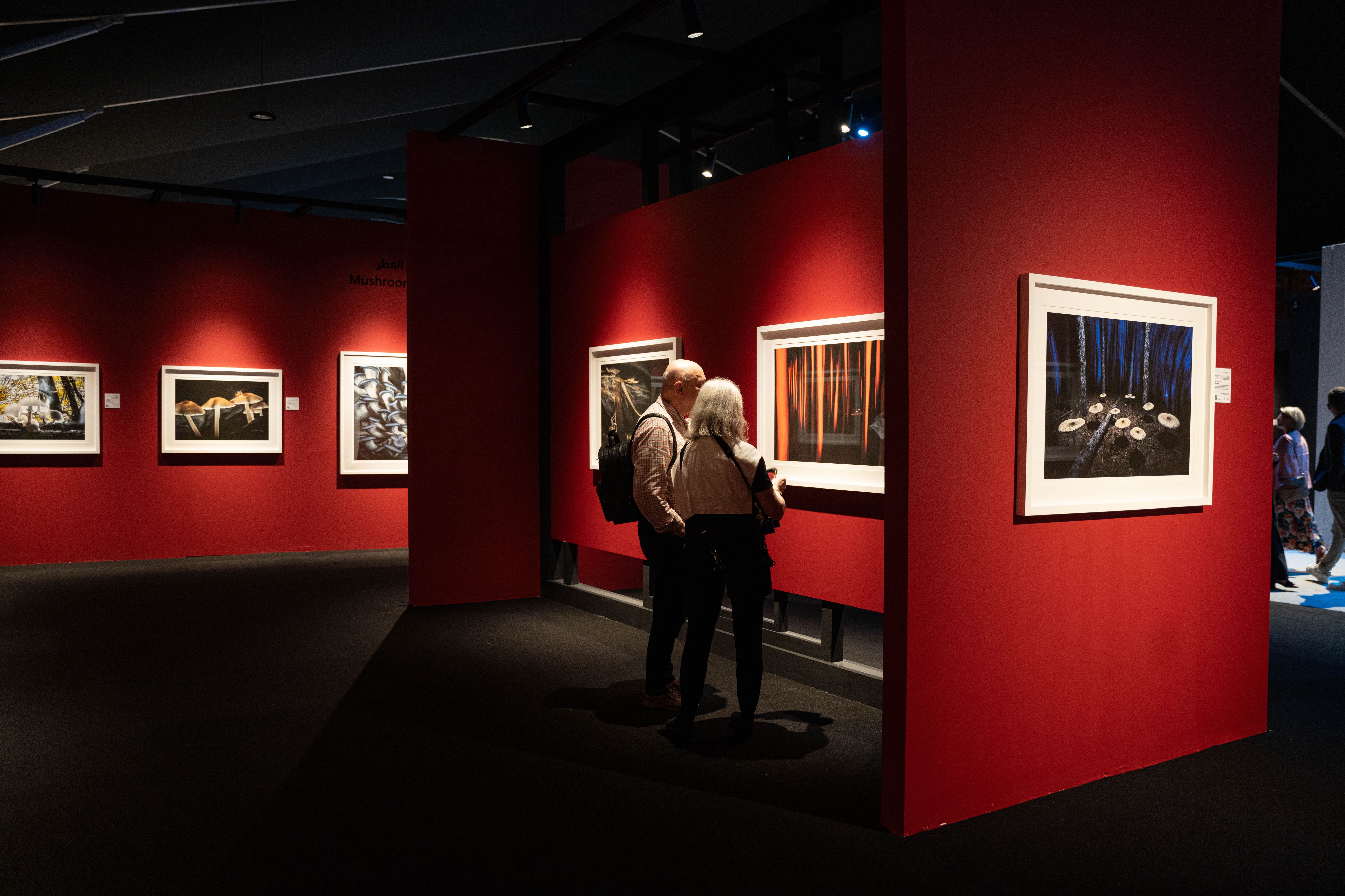 Xposure Awards 2026 attract 29,000 photography, 634 film entries