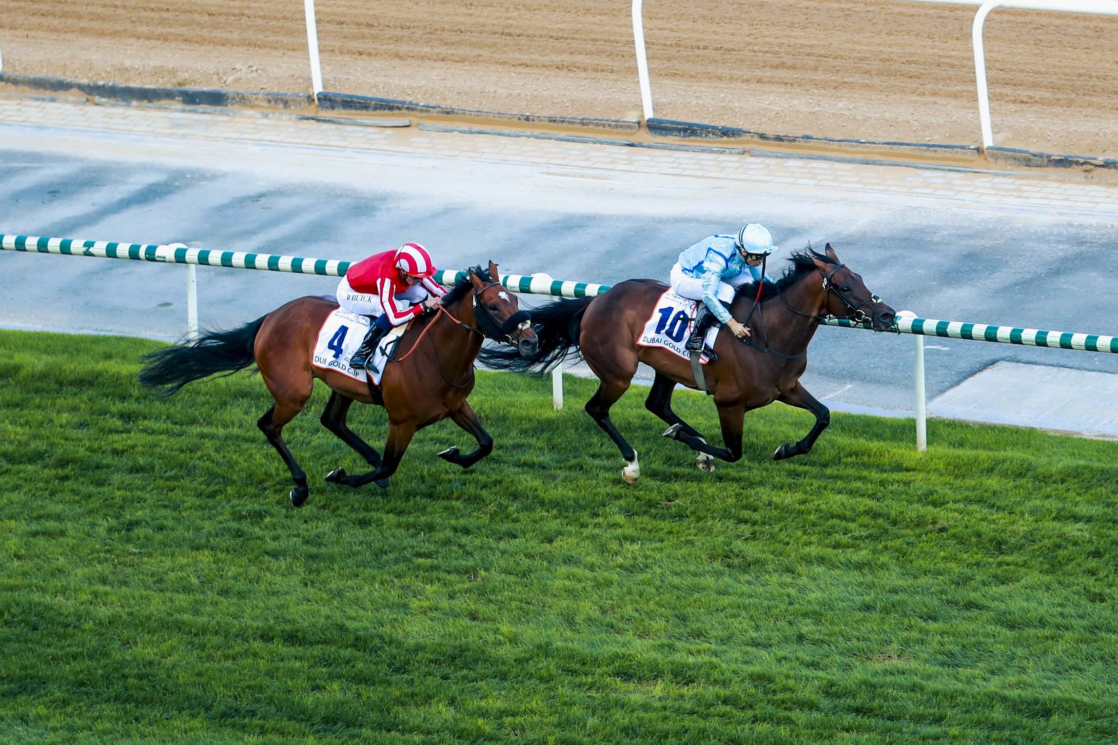 Dubai World Cup: Famous victory for Fairy Glen in dramatic Dubai Gold Cup