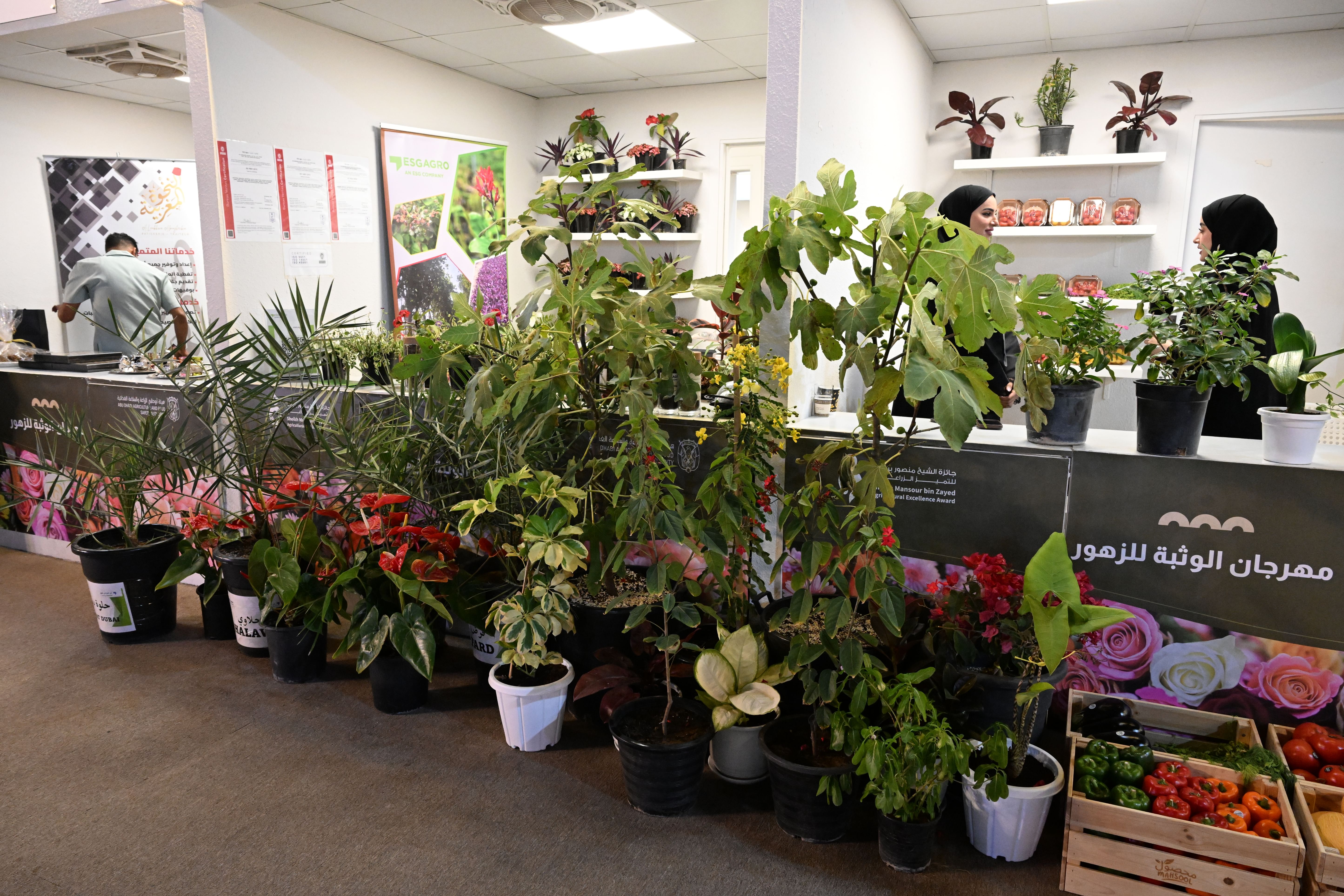 Intense contests at Al Wathba Flower Festival in Abu Dhabi