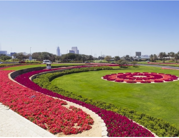 Dubai adds 300,000 square metres of green spaces in three months 
