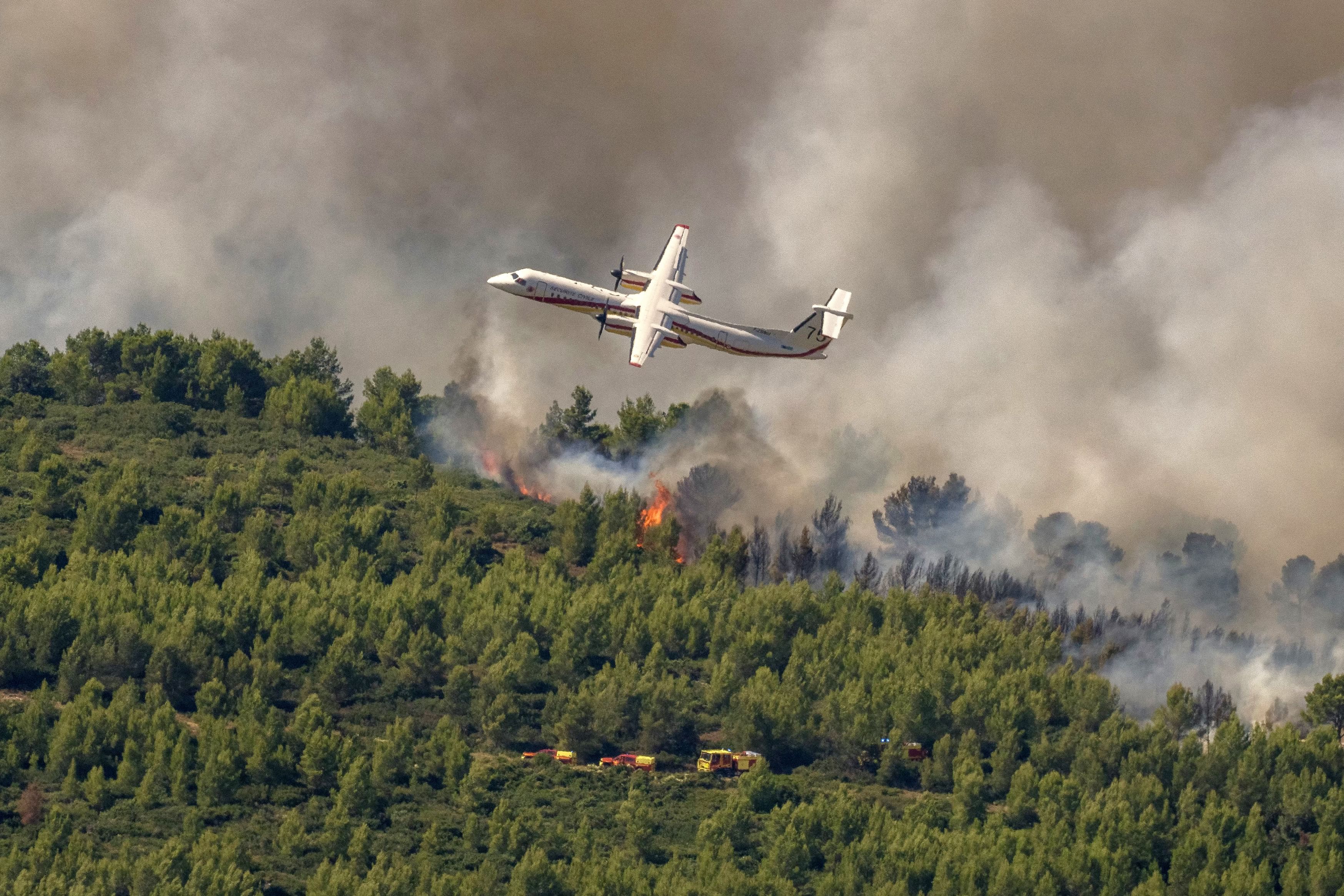 Wildfires in southern France consume nearly 1,000 hectares of forest