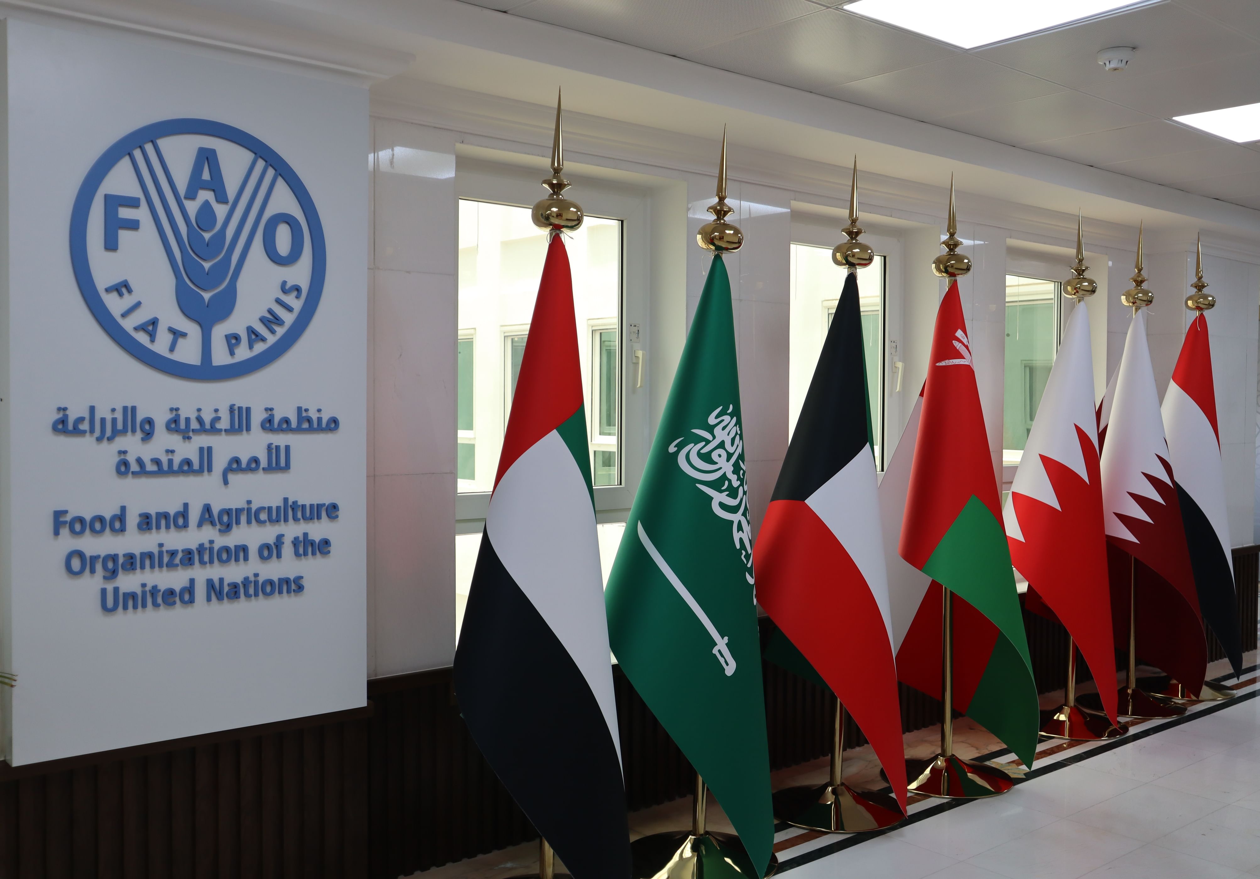 UAE strategic partner in supporting food security regionally, globally: FAO