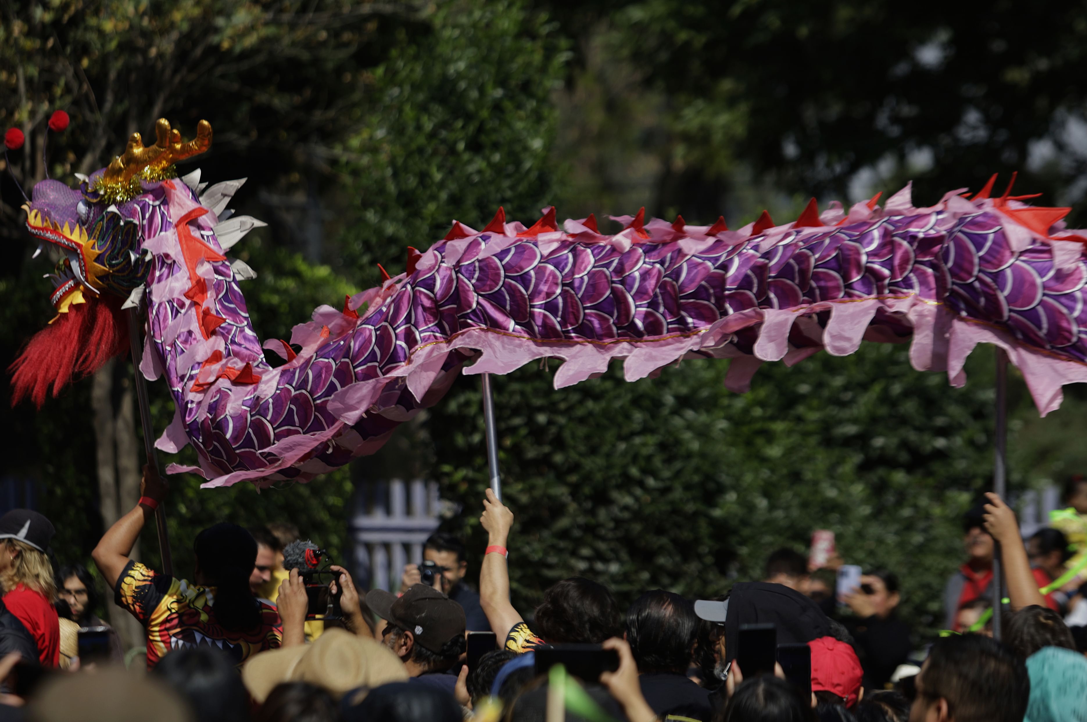 China welcomes 'Year of the Snake' with large-scale traditional celebrations