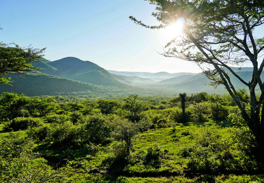 13,000 Hectare Wild Coast Conservation Property Comes to the Market in the Eastern Cape