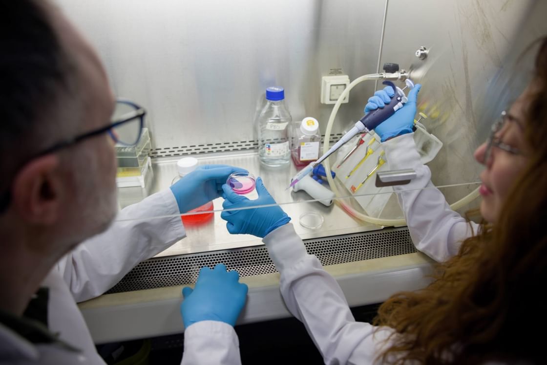 New NYU Abu Dhabi study reveals how DNA organisation in cells drives obesity, metabolic health