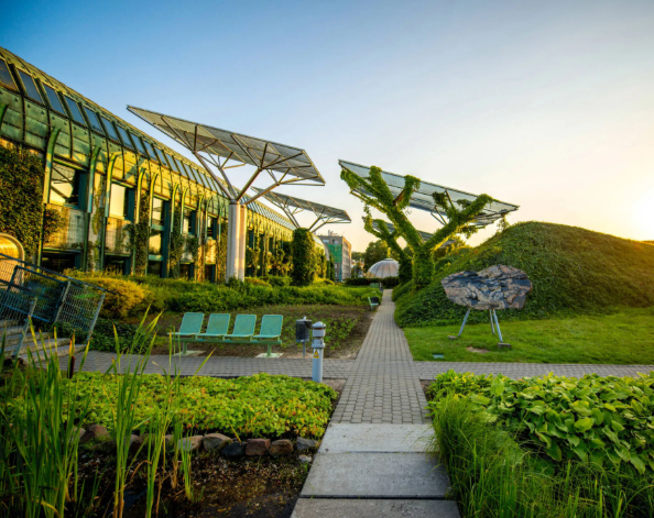 Developed countries exceed USD 100 billion climate finance goal for third consecutive year: OECD