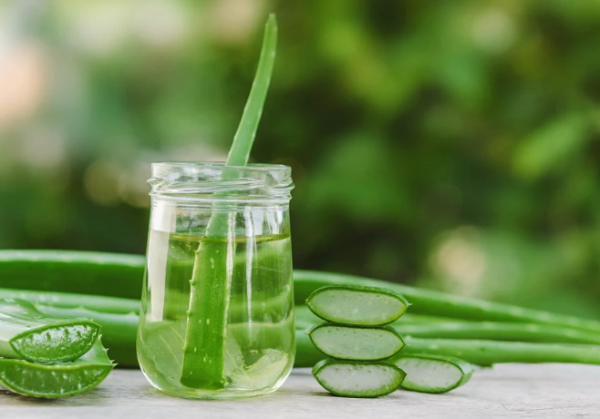 How Aloe Vera water can help soothe stomach and increase metabolism