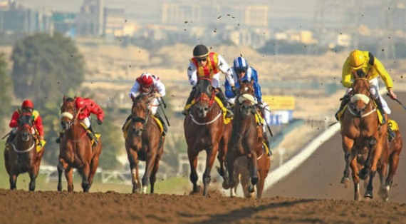 Jebel Ali’s 2025 finale delivers fun, the odd upset and plenty of feel-good racing