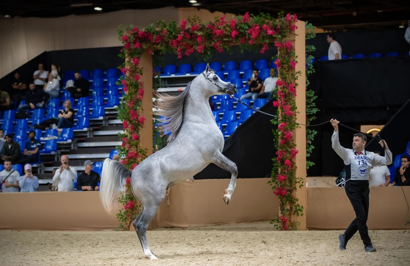 Judges announced for 23rd Dubai International Arabian Horse Championship