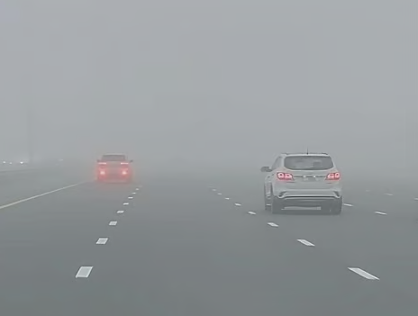 Red alert issued for thick fog across the UAE; Abu Dhabi police warn drivers