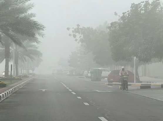 Dense fog in Abu Dhabi, NCM forecasts rain on Sunday