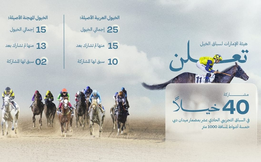 40 Arabian, thoroughbred horses participating in 11th trial race at Meydan Racecourse
