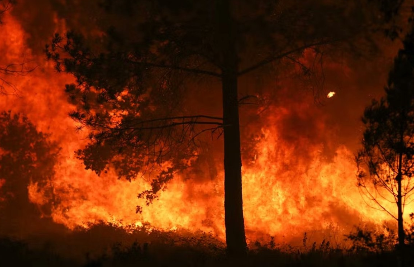 Forest fire burns out of control in southern Germany