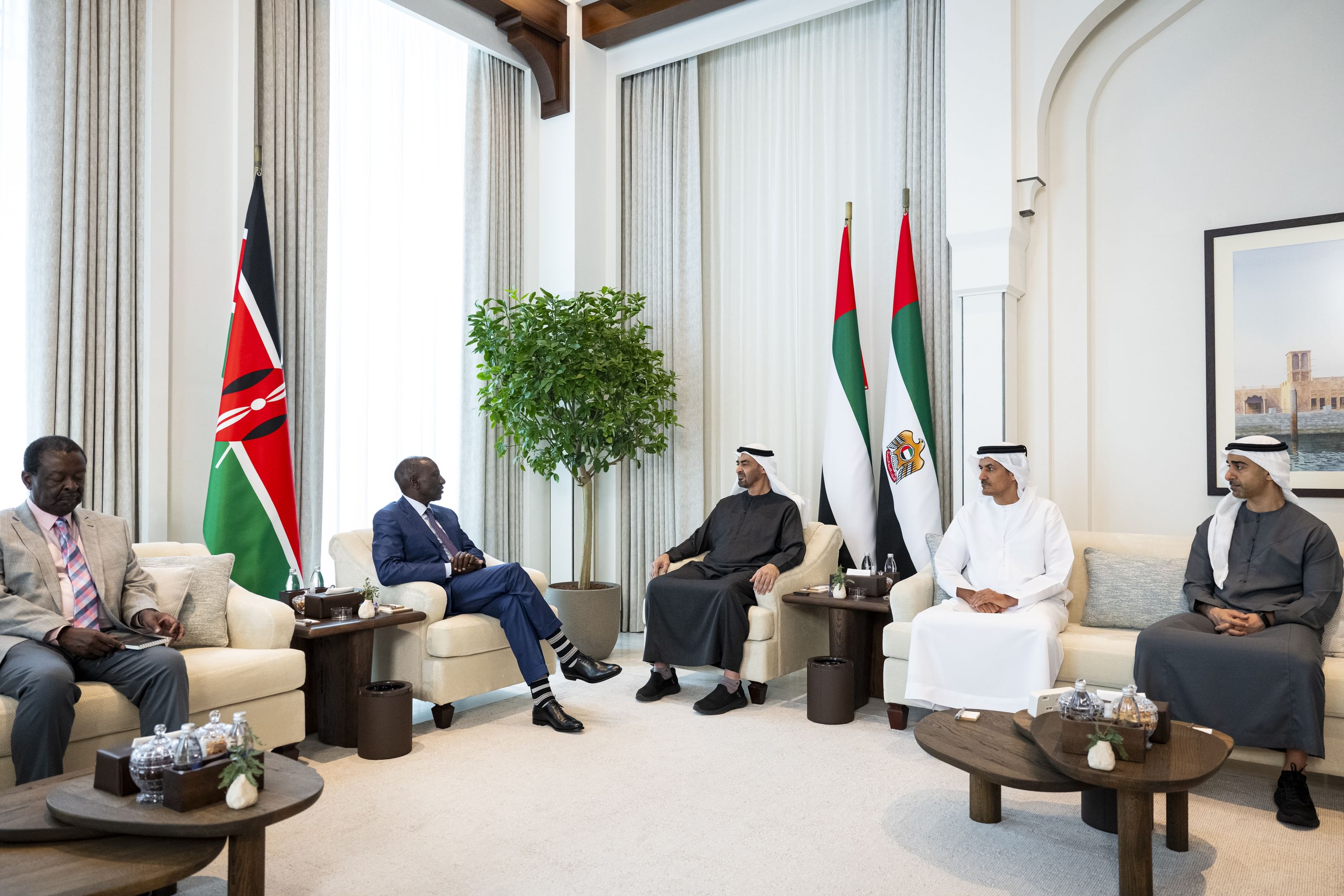 UAE and Kenyan Presidents discuss cooperation under CEPA and regional developments