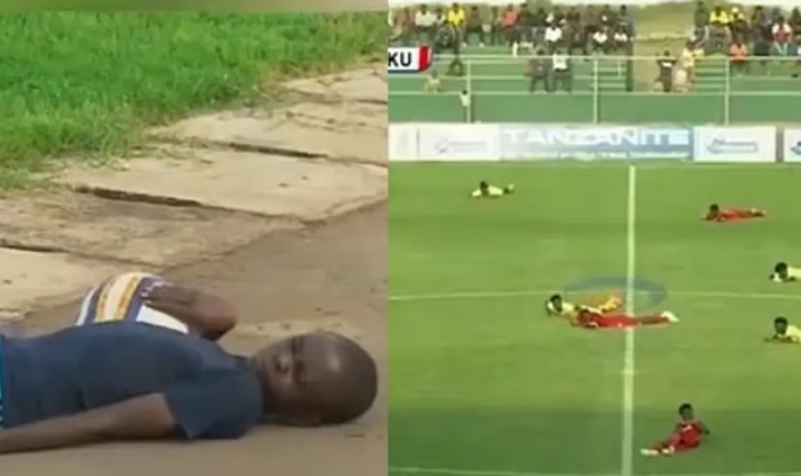Swarm of bees halts football match in Tanzania 