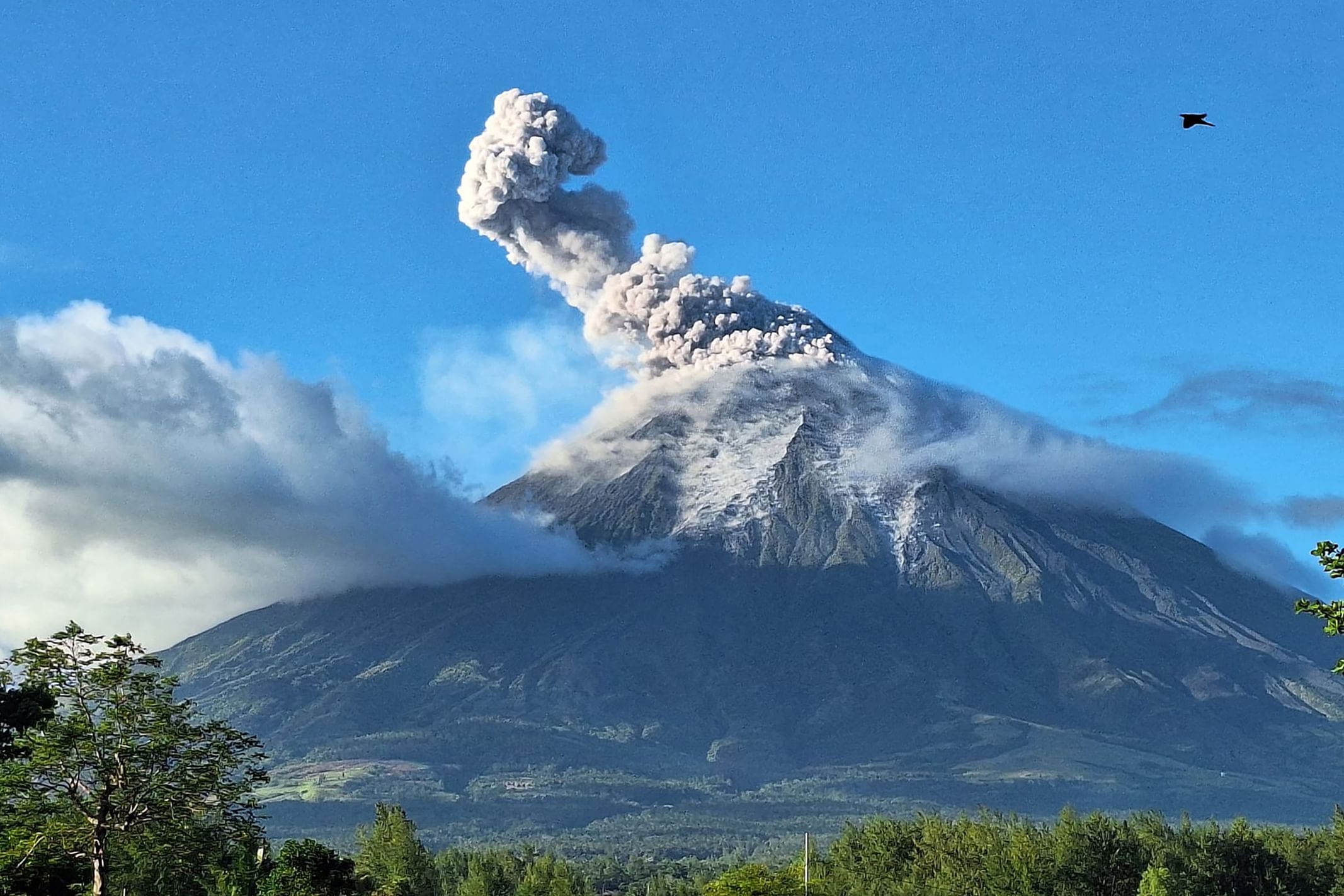 Over 1,000 hectares of crops affected by Mayon Volcano effusive eruption