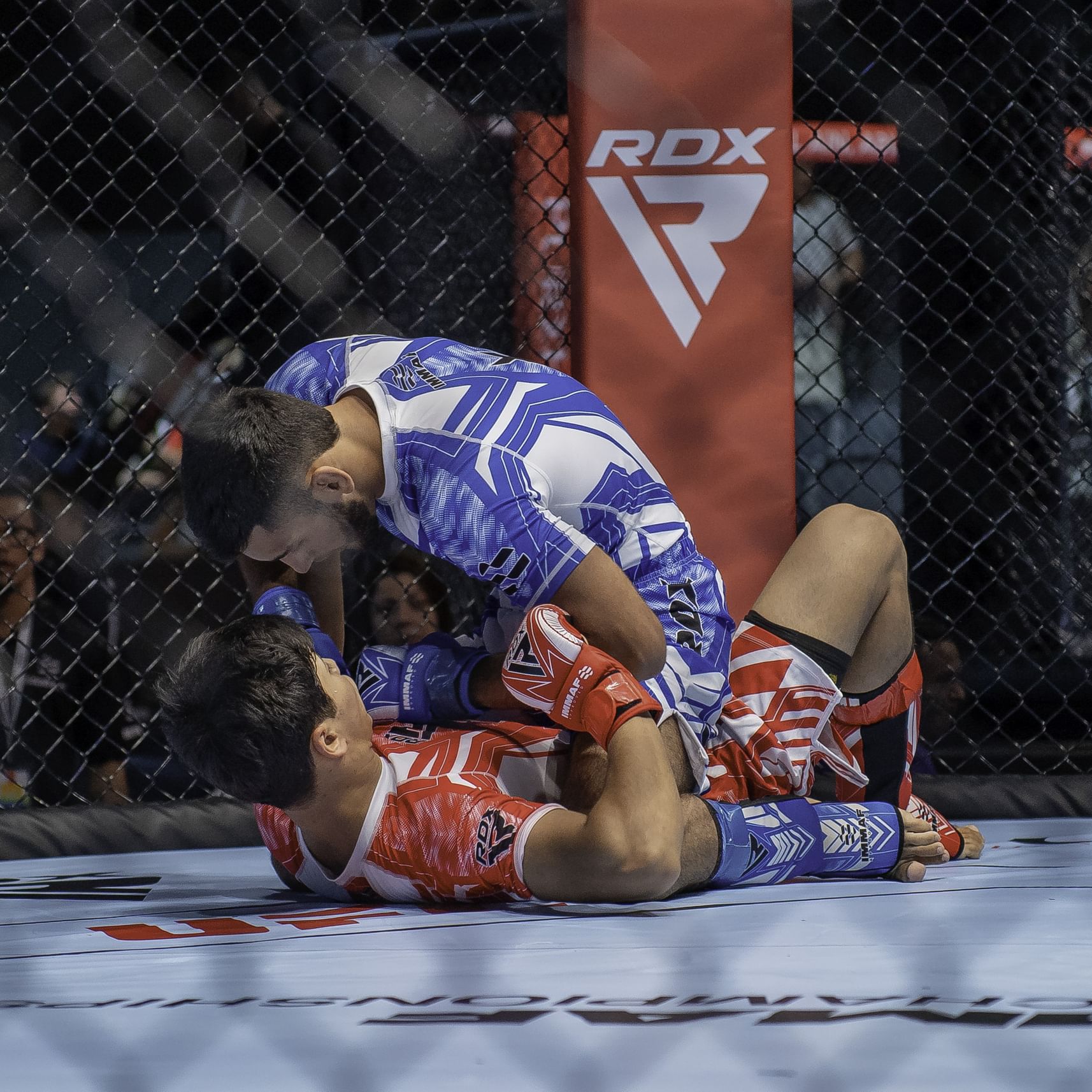 Sixth edition of IMMAF Youth World Championships concludes in Al Ain