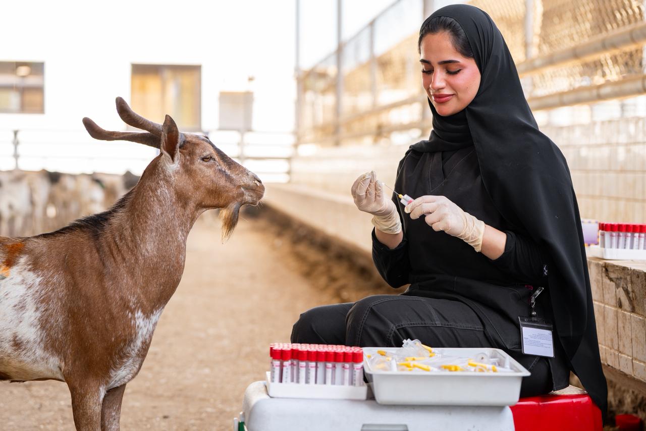 Ministry of Climate Change & Environment announces readiness for Eid Al Adha with comprehensive plan to ensure livestock safety and strengthen food security