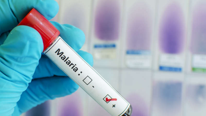 UAE, WHO launch database to combat malaria in 18 countries 