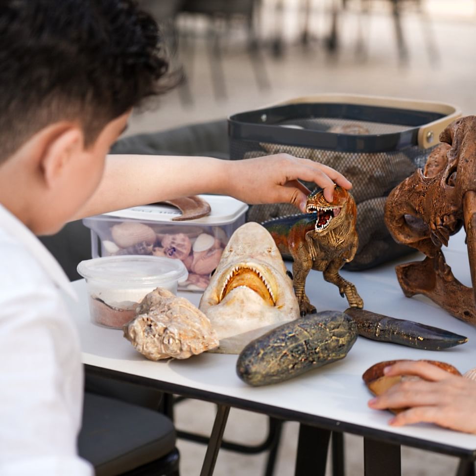 Mleiha National Park unveils educational workshops for children