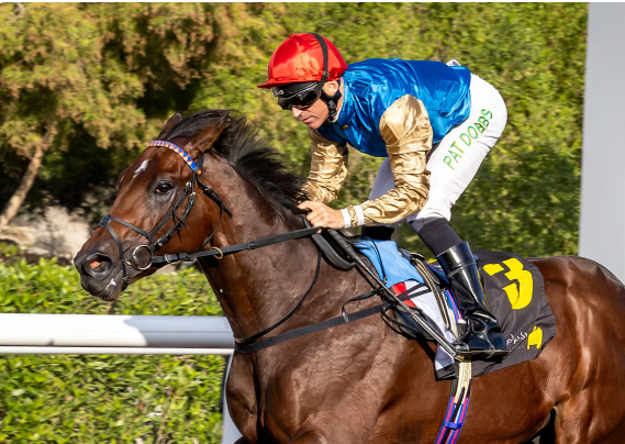Pat Dobbs dominates Jebel Ali Preps with back-to-back wins at ‘yellow’ racecourse