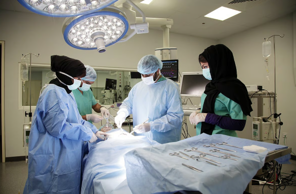 New UAE guidelines aim to strengthen clinical training for medical and nursing students