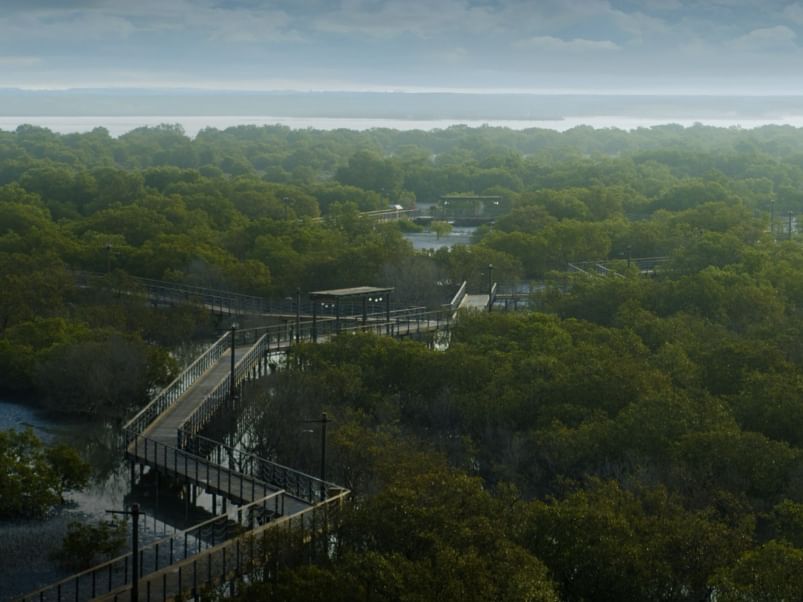 EAD launches AI-powered portal to enhance environmental monitoring, reporting