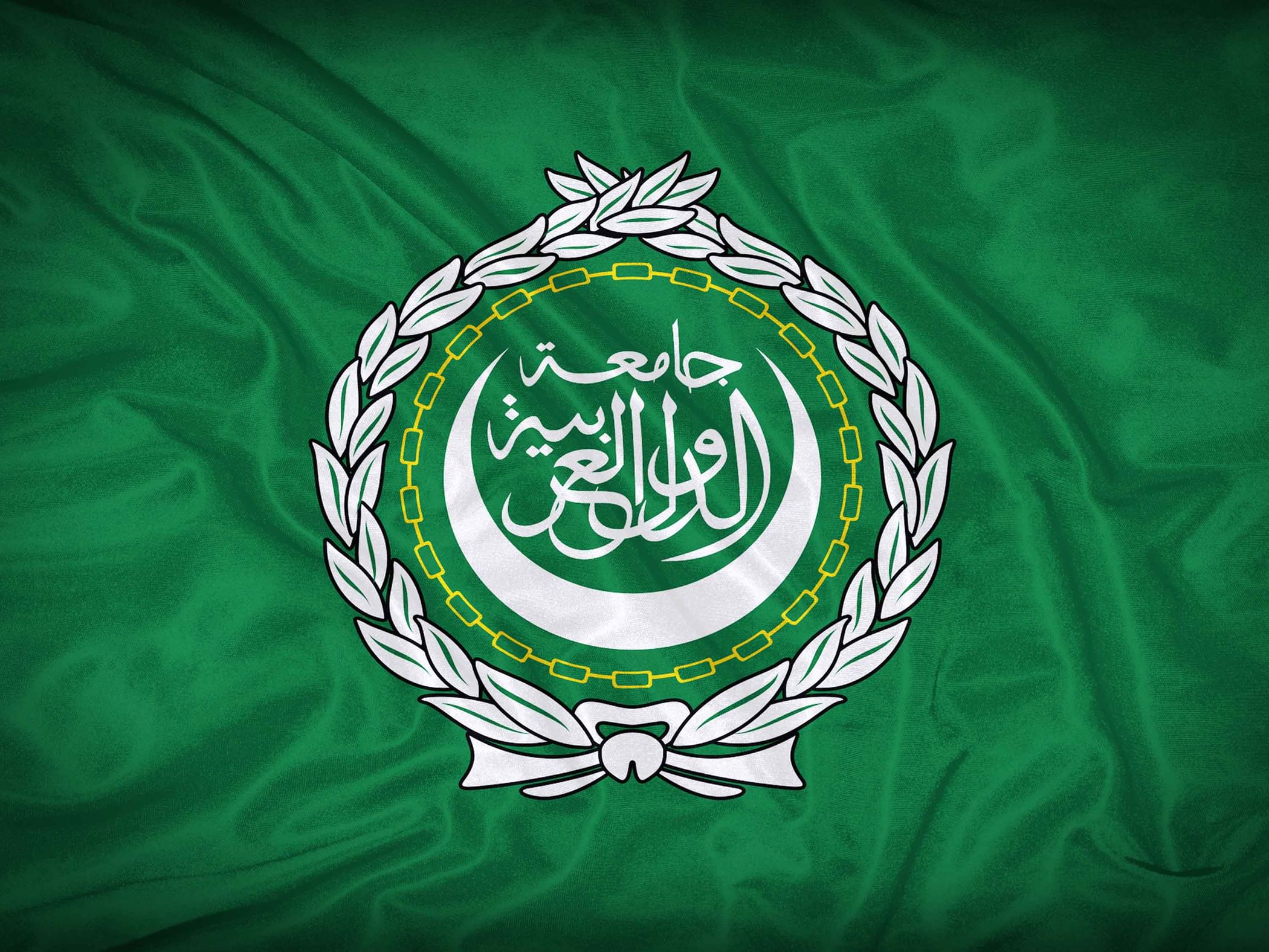 Arab League marks World Press Freedom Day