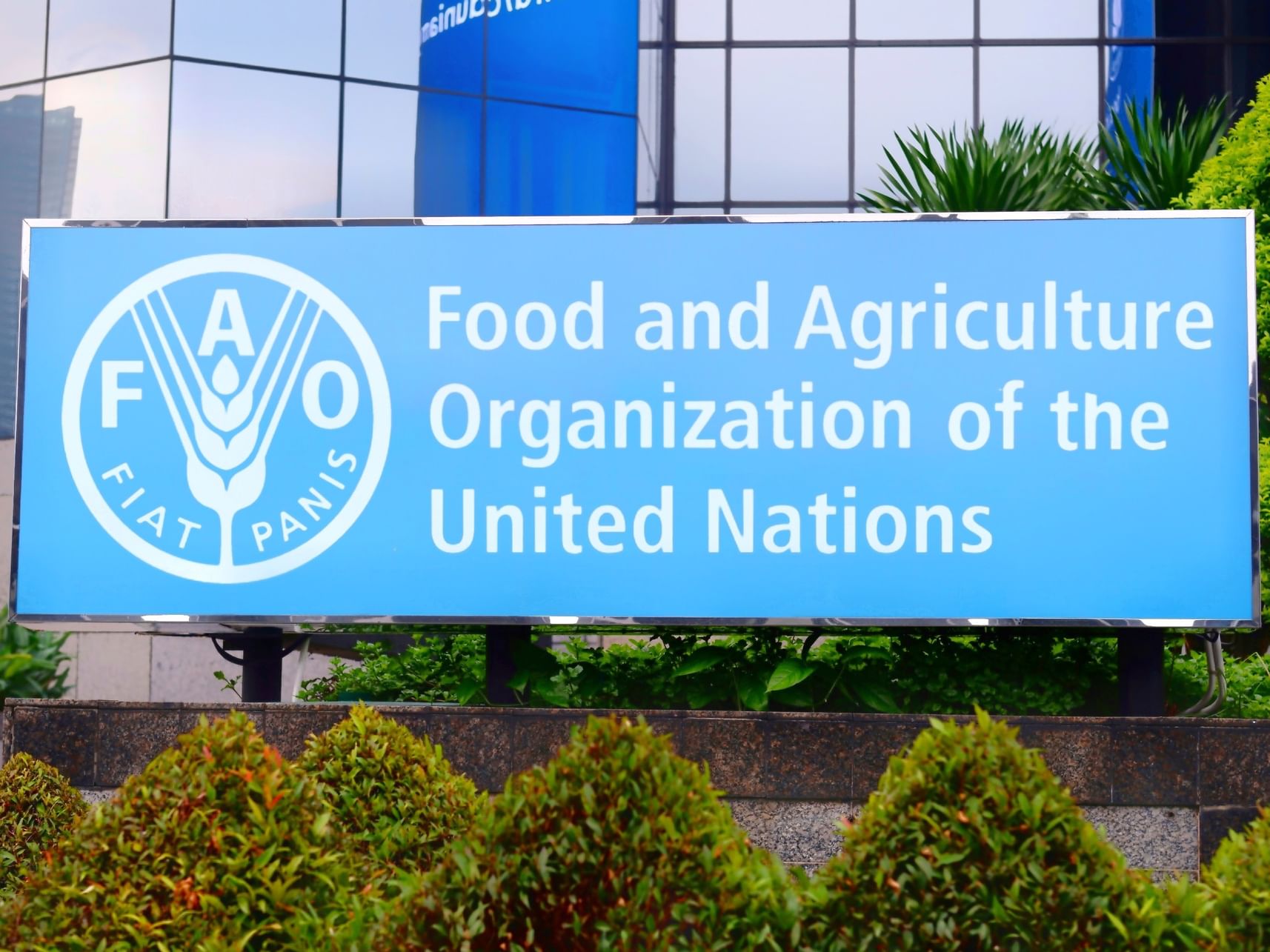 FAO warns of agrifood shock from Strait of Hormuz closure