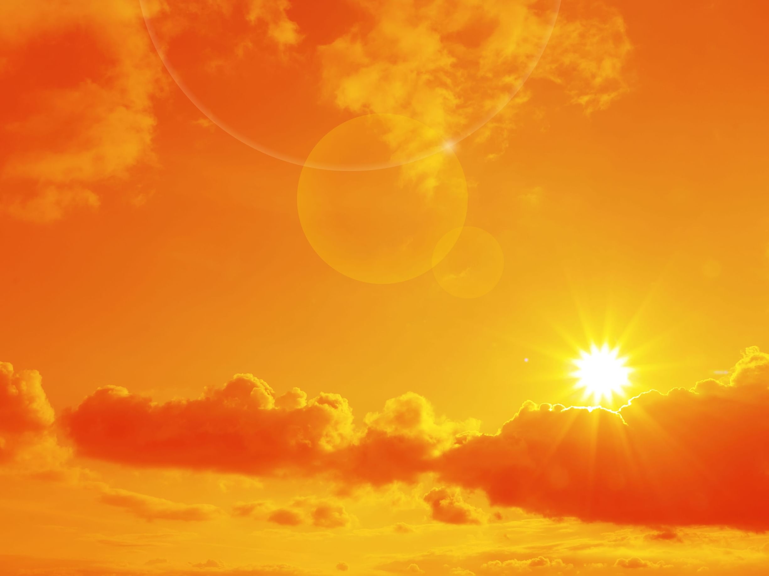 Belgium records Europe's highest excess mortality during late June heatwave