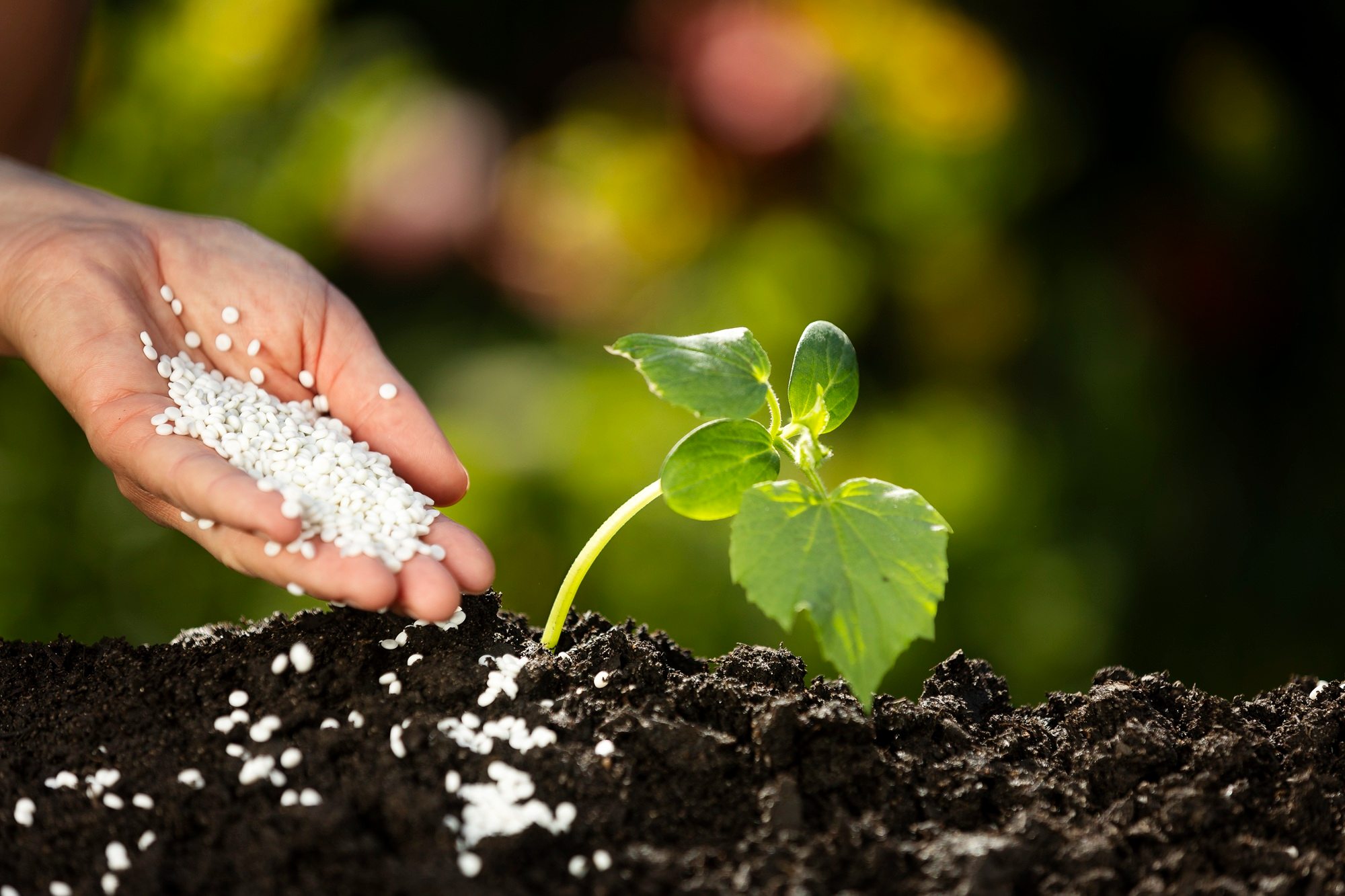 GAIA BioMaterials Secures European Patent for PLA-Free Film Extrusion Materials