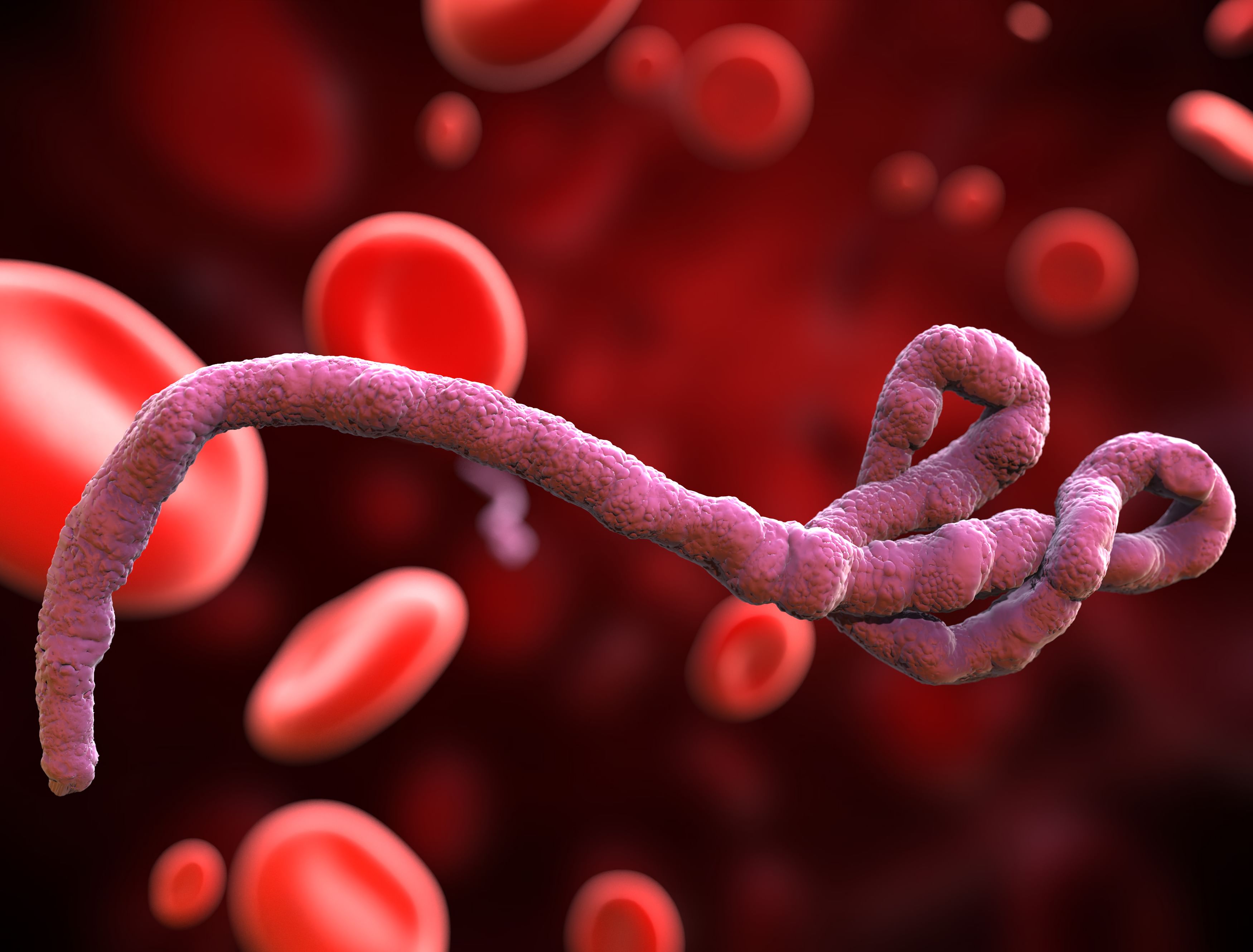 139 Ebola deaths, 600 infections recorded in DRC: WHO