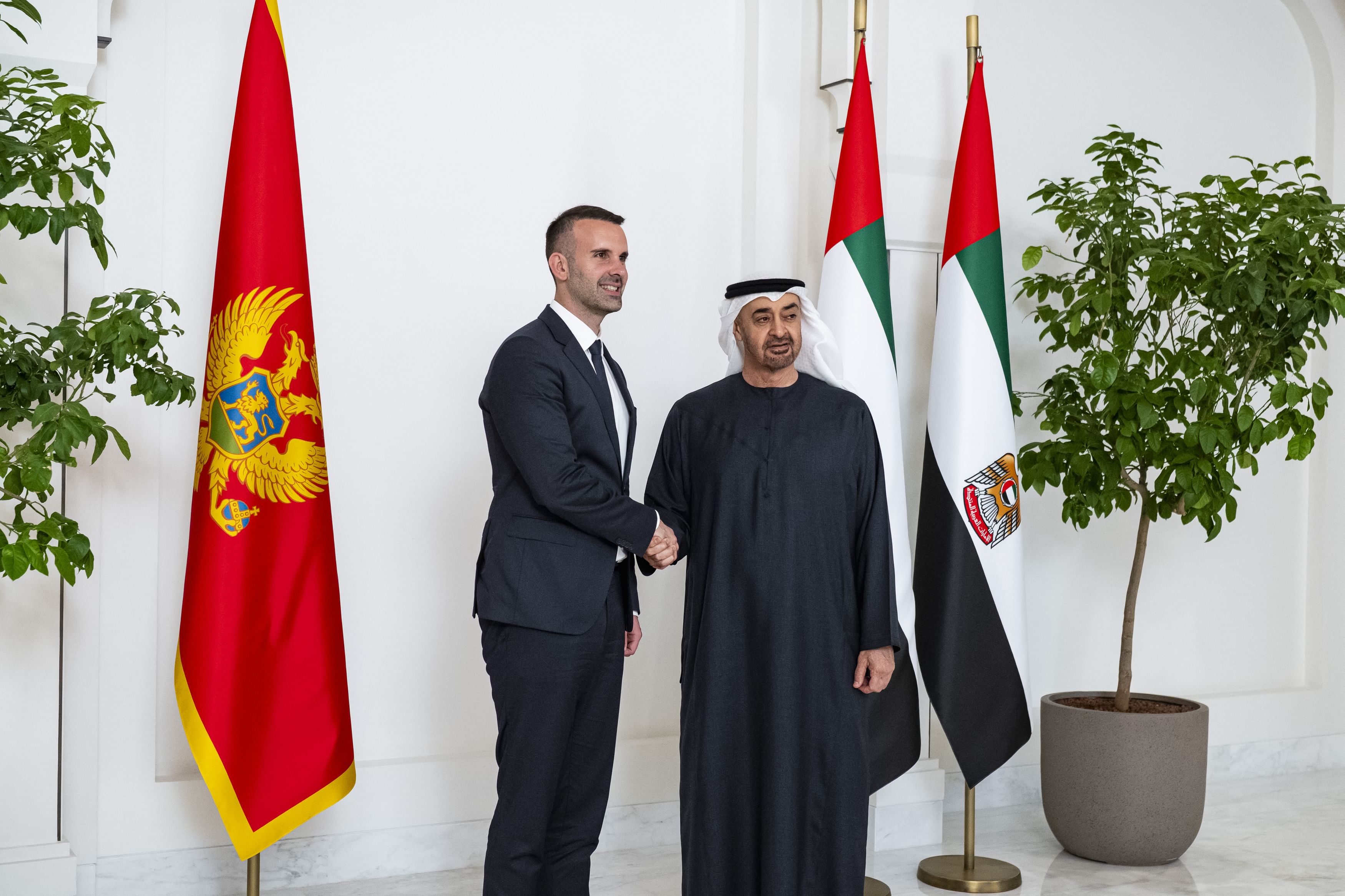 UAE President and Montenegro Prime Minister discuss cooperation and regional developments