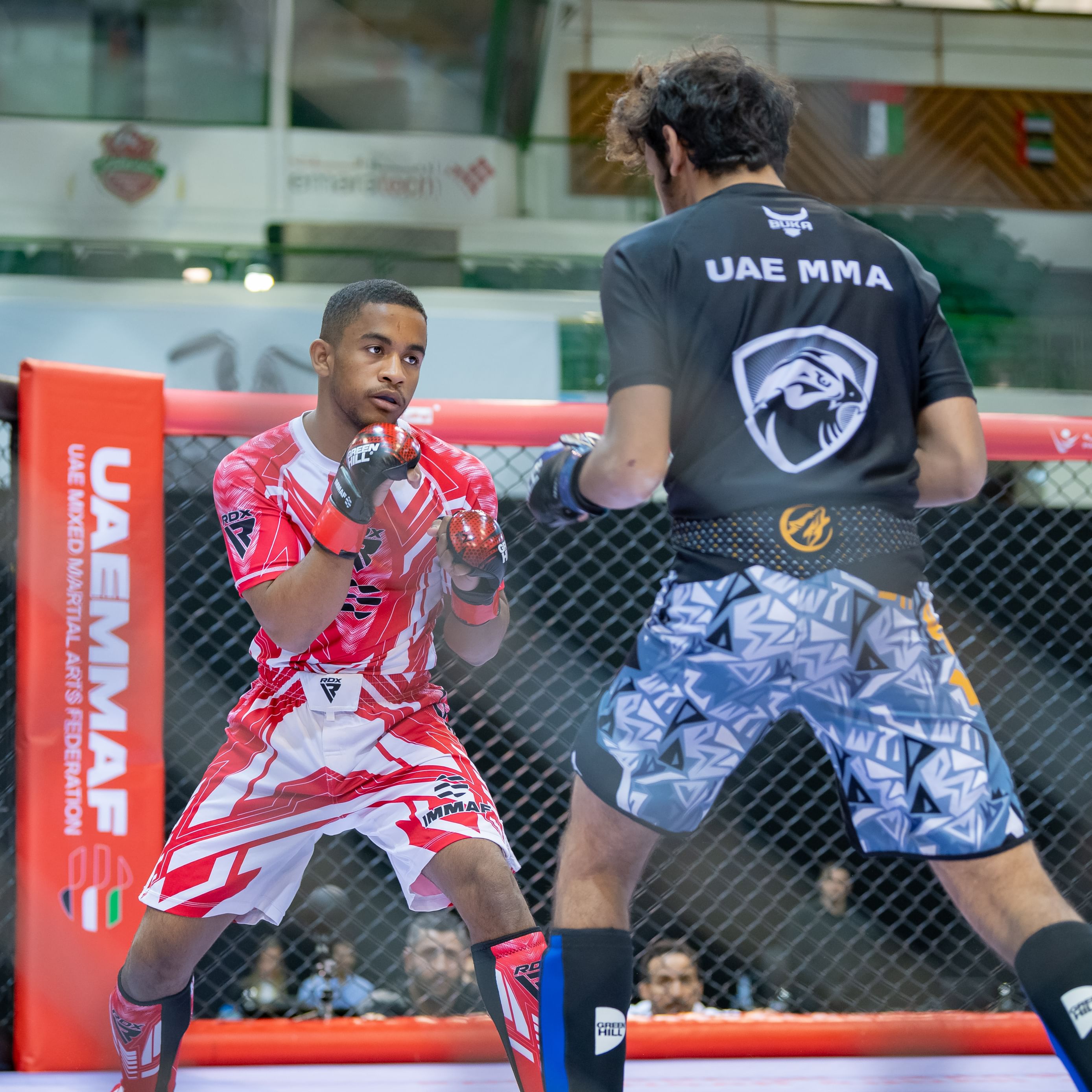 300 athletes to compete in UAE National MMA Championship