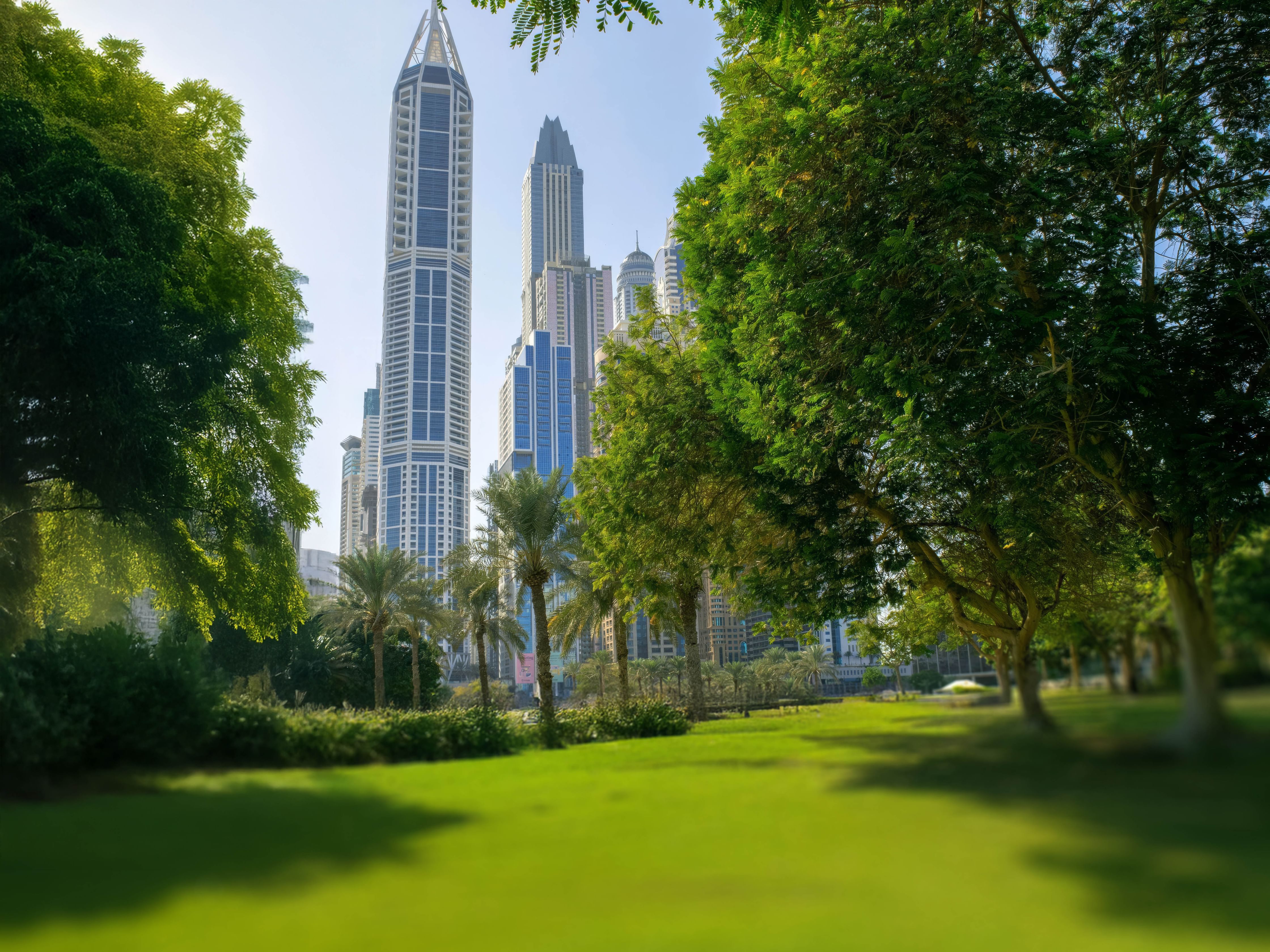 Natural parks across UAE serve as open platforms for attracting investors, entrepreneurs