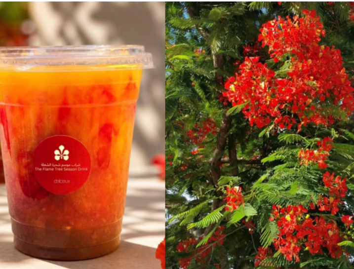 8 Must-try treats inspired by Sheikh Hamdan’s flame tree Initiative