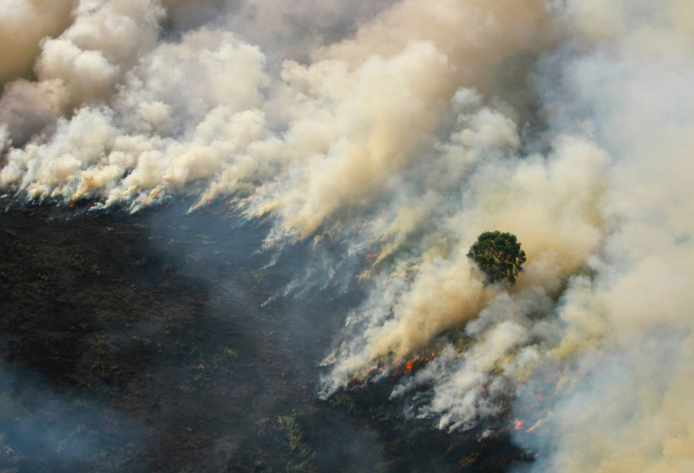 Indonesia starts cloud seeding to prevent forest fires 