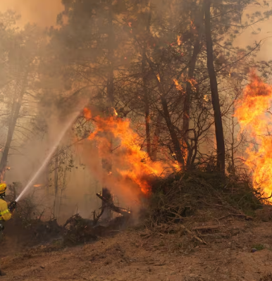 260,000 evacuated as wildfires rage across France, Spain