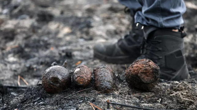 French forest fire reveals dozens of unexploded WWII grenades