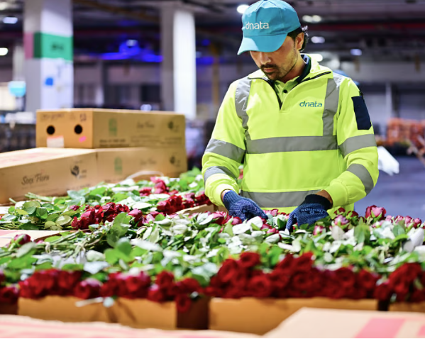 Dubai Flower Centre: UAE's dnata handles 227,000kg of Valentine’s Day flowers in 5 days