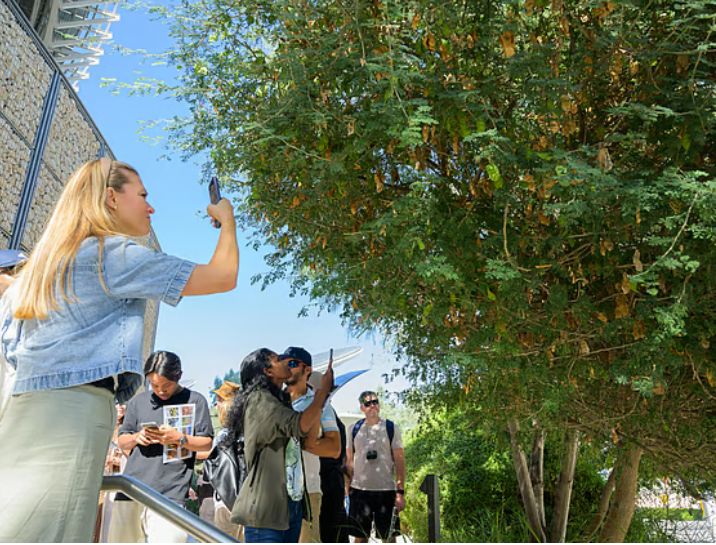 Dubai is hosting a citywide wildlife hunt this weekend for free