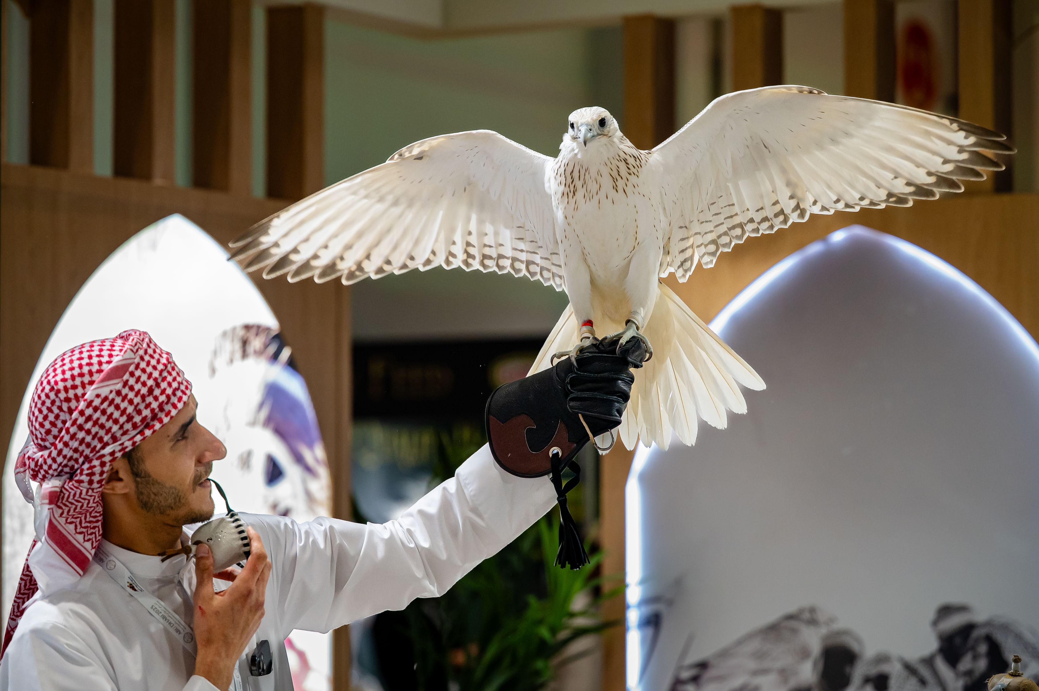 Abu Dhabi International Hunting and Equestrian Exhibition opens Friday